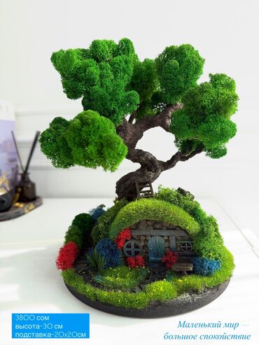 Декоративные цветы: Бонсай ручной работы из натурального стабилизированного мха от 1500 — 18