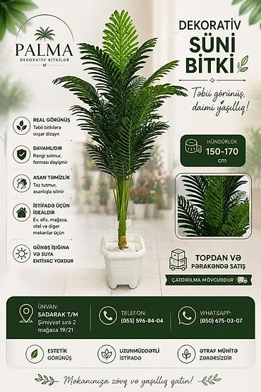 dekor guller: 🌿 PALMA – dekorativ bitkilər Evinizə, ofisinizə və digər məkanlara — 1