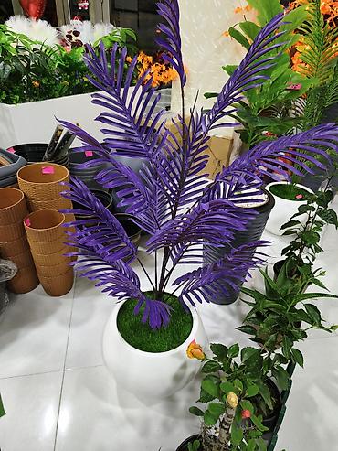 dibcek qabi: Bənövşəyi dekorativ palma – süni bitki - Rəng: parlaq bənövşəyi — 1