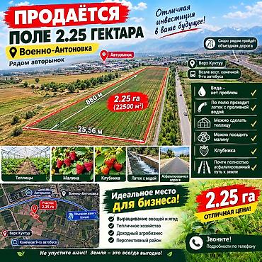 Земельные участки: 225 соток, Для сельского хозяйства, Договор купли-продажи — 1