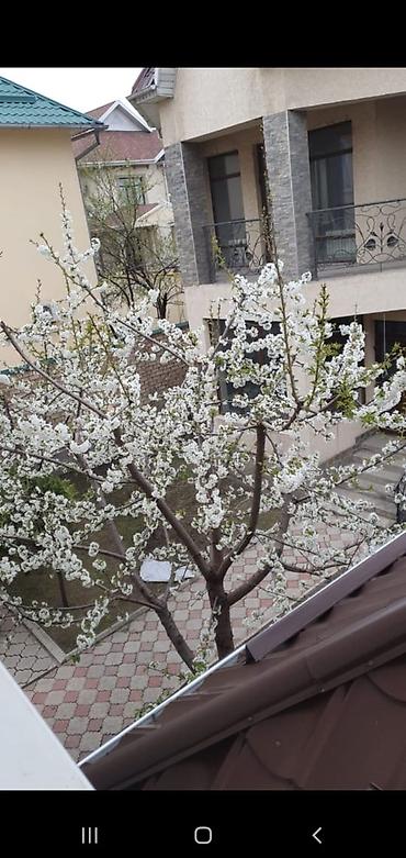 Продажа коттеджей и домов: Продается два 2 этажных особняка. р-н мкр.Джал, по — 20