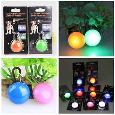 Зоотовары: Продаю новые ошейники для кошек,щенков и мелких пород собак по разным — 13