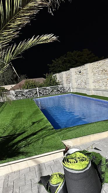 bit bazarı: 🌿 Hər fəsildə yaşıl görünən məkanlar üçün ideal seçim! Süni — 3