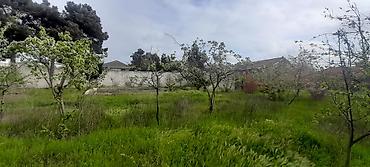 Torpaq sahələrinin satışı: Tikinti, Kupça (Çıxarış) — 5