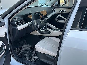 BYD: BYD : 2024 г., 0.1 л, Автомат, Электромобиль, Кроссовер — 4