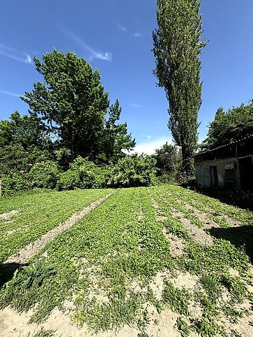 дача надежда: 📌В селе Беловодское выше железной дороги в районе Ак-суу срочно — 6
