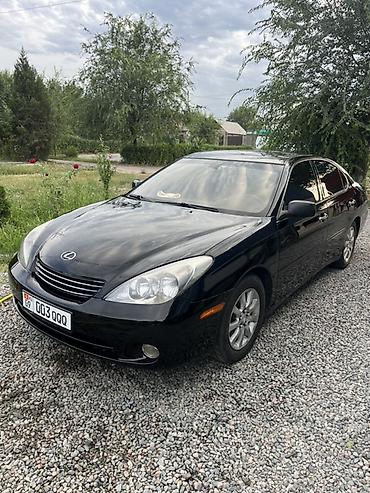 lexus es300 2002: Lexus ES: 2002 г., 3 л, Автомат, Газ, Седан — 2