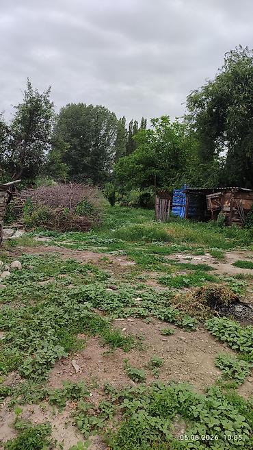 срочно только нал: Дом с участком в сельской местности. - Одноэтажный жилой дом с — 2