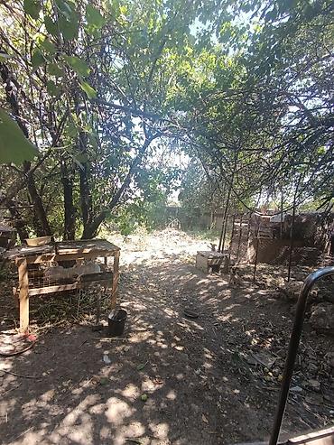 Продажа коттеджей и домов: Дом, 5 комнат, 68 кв.м В селе Петровка продается дом из 5-ти комнат at lalafo.kg — 19 Продажа коттеджей и домов: Дом, 5 комнат, 68 кв.м В селе Петровка продается дом из 5-ти комнат — 19