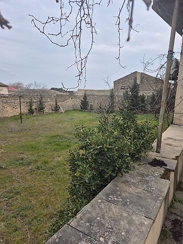 Bağ evlərinin satışı: Digah, 700 kv. m, 4 otaqlı, Su, Qaz, İşıq — 4