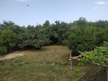 ucuz evler gence: Xaçmaz, 240 kv. m, 8 otaq, Hovuzsuz, Kombi, Qaz, İşıq — 4