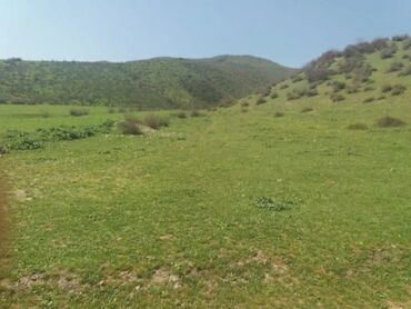 Torpaq sahələrinin satışı: 19 sot, Kənd təsərrüfatı, Mülkiyyətçi, Kupça (Çıxarış) — 8