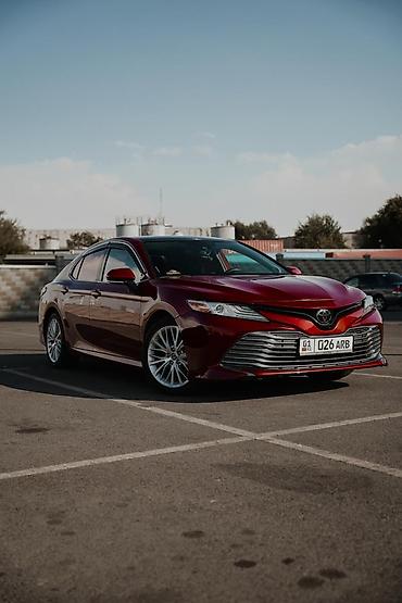 монитор на камри: Toyota Camry: 2020 г., 2.5 л, Автомат, Бензин, Седан — 1