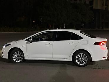 Toyota: Toyota Corolla: 2020 г., 1.8 л, Автомат, Гибрид, Седан — 7