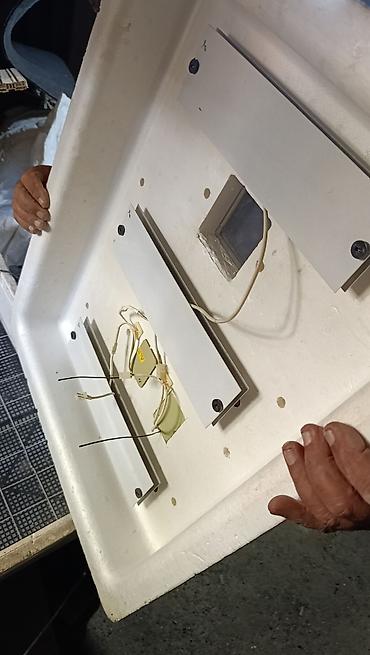 mini generator satışı: 100 yumurta, Rusiya, Bütün növ quşlar üçün — 4