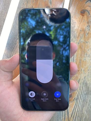 Apple iPhone: IPhone 13 Pro, Б/у, 256 ГБ, Alpine Green, 77 % — 12