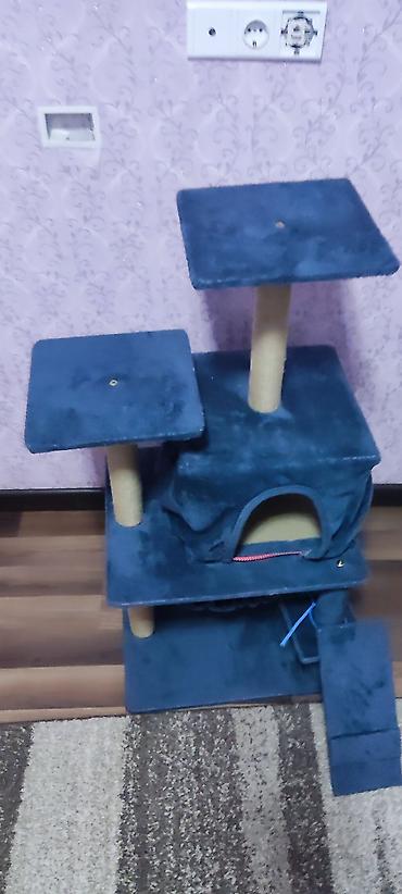 домик для кот: Домик для кошек и котят! трёх этажка 😋 б/у(мы мало им пользовались) в — 3