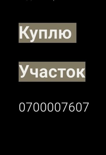 дачный кооператив: Газ, Электричество, Водопровод