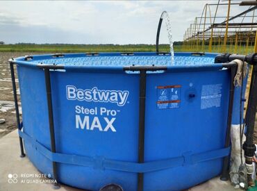 Теплицы: Теплица, предназначенная для выращивания различных — 11