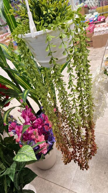 Süni güllər: Qi̇ymətlər 10 azn başlayir depodan bir başa satiş suni̇ qazonlar — 23