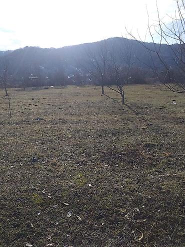 Torpaq sahələrinin satışı: Tikinti — 7