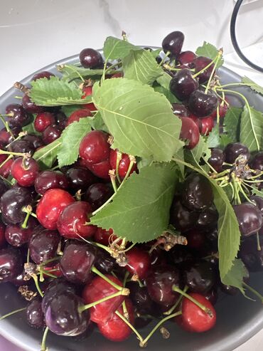 продукты для суши оптом: Гилас Дүңүнөн, Өзү алып кетүү