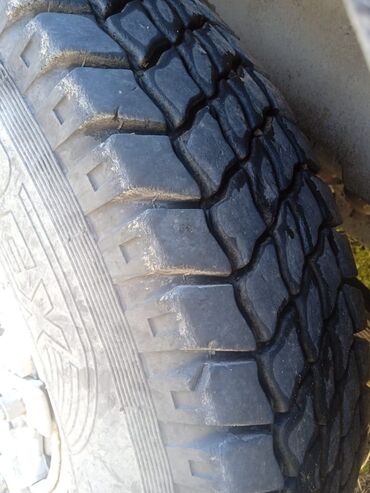 Грузовики: Грузовик at lalafo.kg — 10 Грузовики: Грузовик — 10