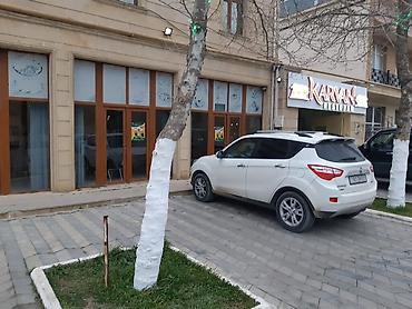 İcarəyə restoran və kafelər: “Karvan Restoran” – restoran obyekti - Fəaliyyət sahəsi: ictimai — 2