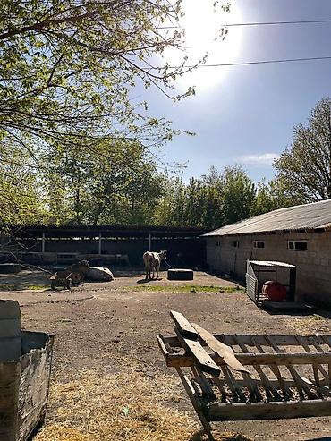 Продажа коттеджей и домов: 🏡 ЭТО НЕ ПРОСТО ДОМ — ЭТО МЕСТО, ГДЕ ХОЧЕТСЯ ЖИТЬ! 📍 г. Орловка от — 28