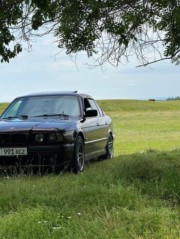 машиа: BMW 525: 1994 г., 2.5 л, Механика, Бензин, Седан