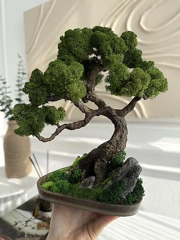 Другой декор и предметы интерьера: Декоративное дерево бонсай, выполненное из стабилизированного мха — 39