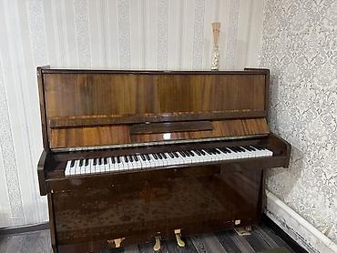Музыкальные инструменты: Пианино акустическое, вертикальное (upright), корпус с отделкой под — 7