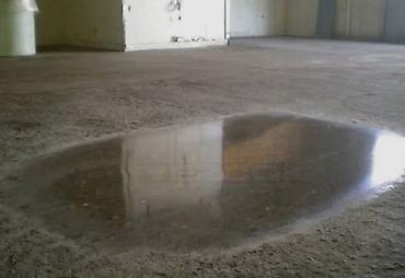 Шлифовочные работы: Шлифовка пола Больше 6 лет опыта — 17