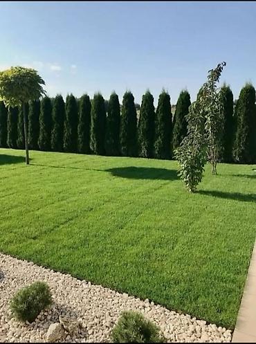 Строительство под ключ: Ландшафтные работы под ключ - Проектирование и обустройство участка — 2