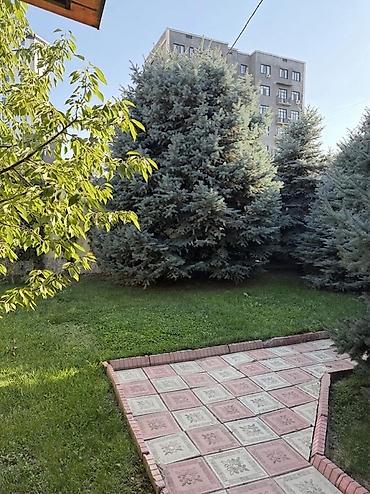 3 микр: 200 м², 5 комнат, БГУ — 5