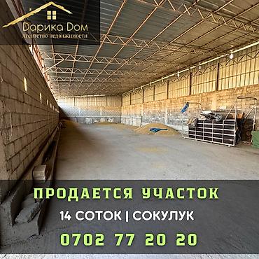 кантенир 20 тоник: 300 соток — 1