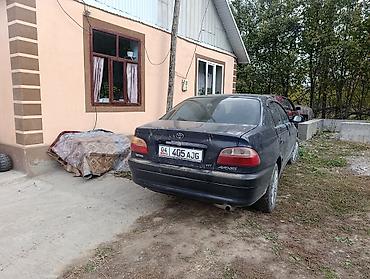 внутренняя граната тойота авенсис: Toyota Avensis: 2001 г., 1.8 л, Механика, Бензин, Седан — 4