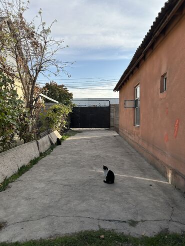 Продажа домов: Дом, 82 м², 3 комнаты, Собственник, Косметический ремонт — 15