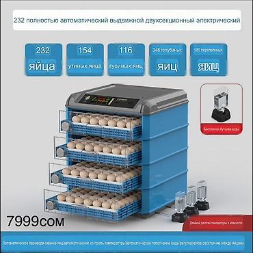 Оборудование для производства: Инкубаторы с двойным электроприводом и полностью автоматическим — 5