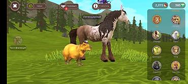 энимал пак: Игровой аккаунт Wildcraft(мобильная игра-симулятор животных) Основные — 2