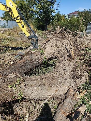 Услуги экскаватора: Экскаватор | Выкорчевывание пней — 9