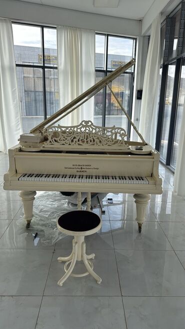 Klassik gitaralar: Rud İbach Sohn Royal Piano

Alman Brendi