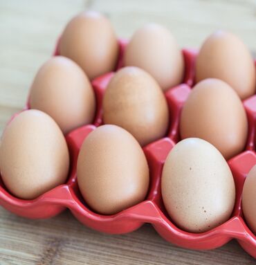 яйцо перепелов: Продаю яйца столовые! Свежие и опрятные! Только оптом свыше 300 шт