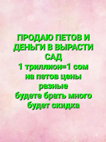 большая труба музыкальный инструмент: Продаю петов и деньги в вырасти сад в роблокс 1 триллион=1 сом на
