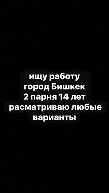 Помощник. Без опыта