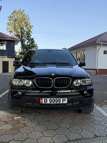 BMW: BMW X5: 2004 г., 3 л, Автомат, Газ, Внедорожник — 8