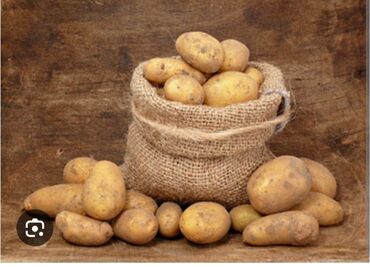 копалка картофель: Картошка Дүңүнөн