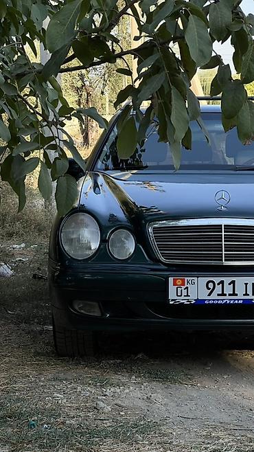 мэри: Mercedes-Benz E-Class: 1999 г., 2.4 л, Автомат, Бензин, Универсал — 4