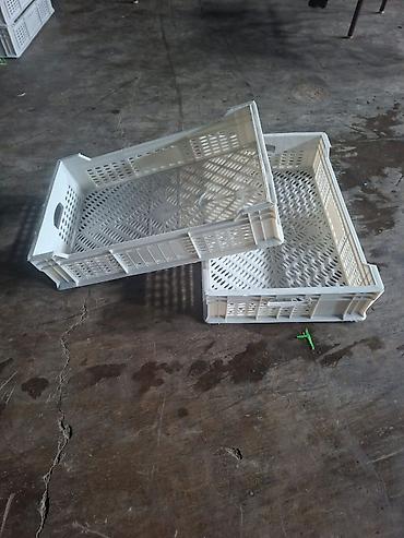 Digər mağaza avadanlığı: Plastik yeşik(tara,sebet,yesik,qutu) istehsalı. ölçülər 60/40/10sm — 15