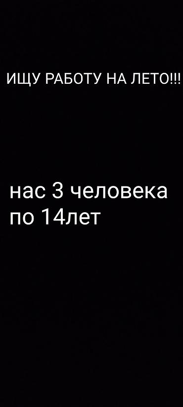 Ищу работу - Студент, Без опыта, Неполный рабочий день at lalafo.kg Ищу работу - Студент, Без опыта, Неполный рабочий день